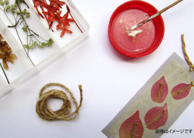 海藻のしおり作り